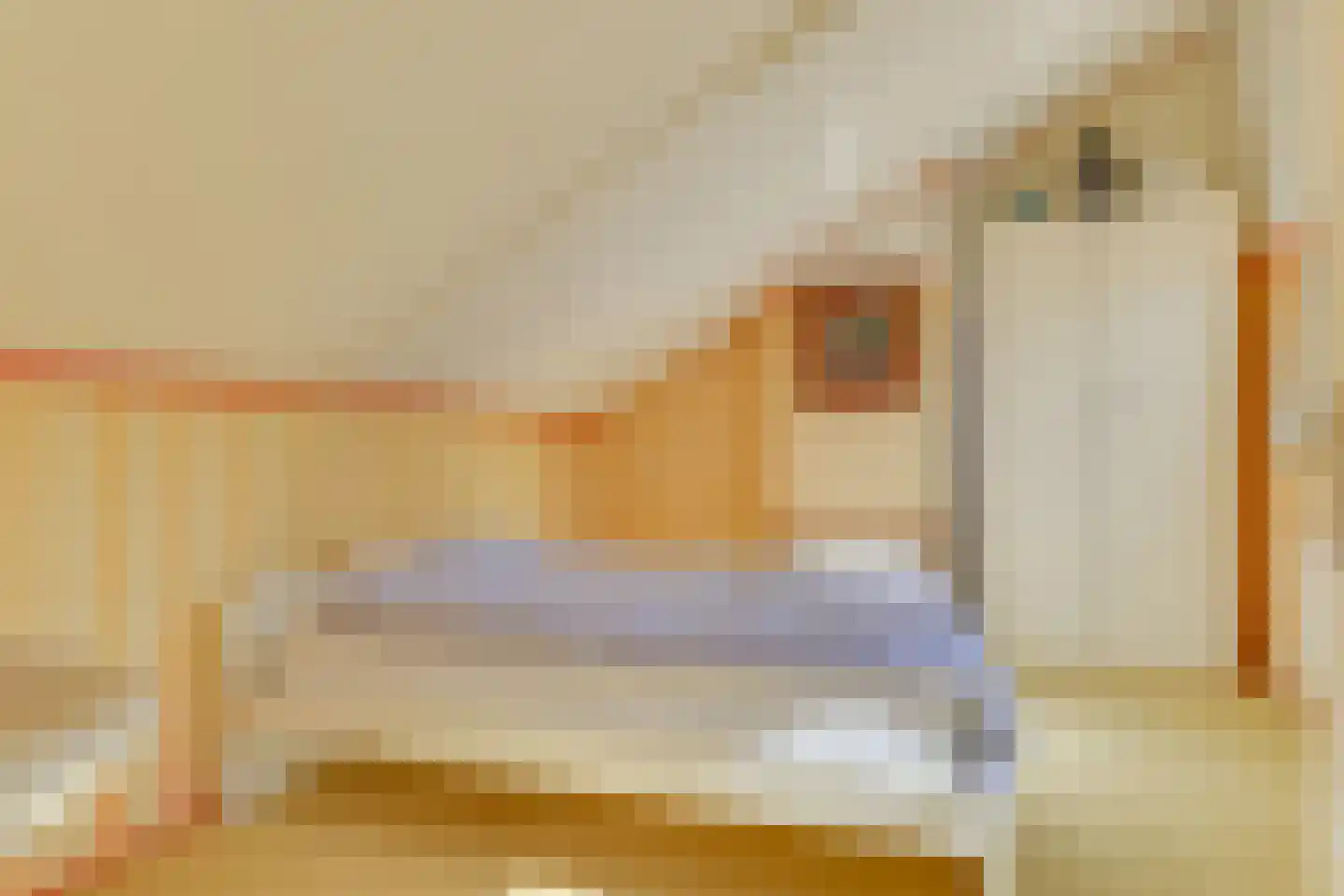 De Kuilenaar 31 Heiloo thumbnail 30