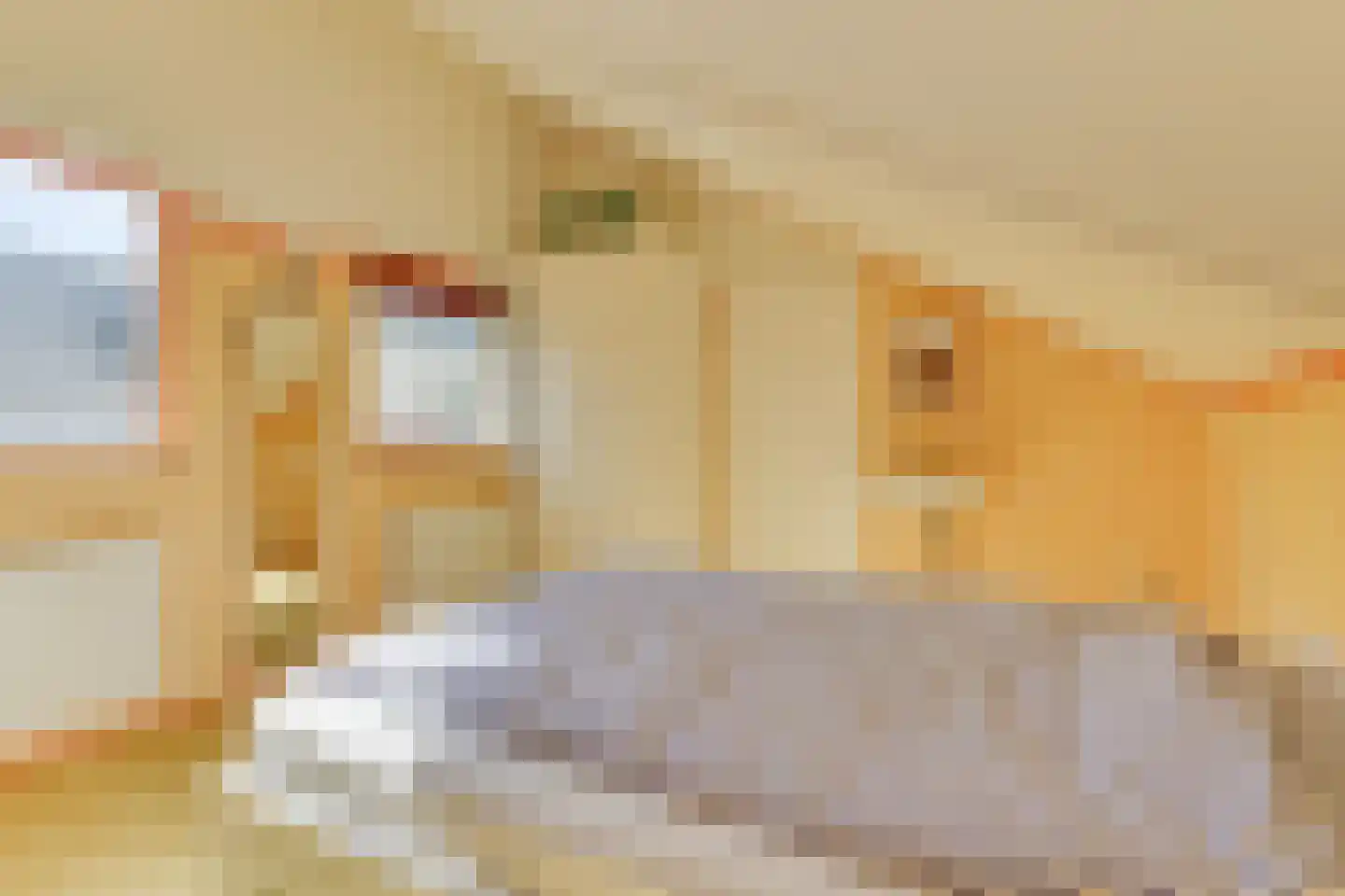 De Kuilenaar 31 Heiloo thumbnail 32