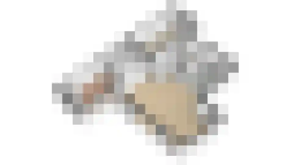 De Kuilenaar 31 Heiloo thumbnail 51
