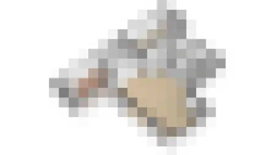 De Kuilenaar 31 Heiloo thumbnail 51