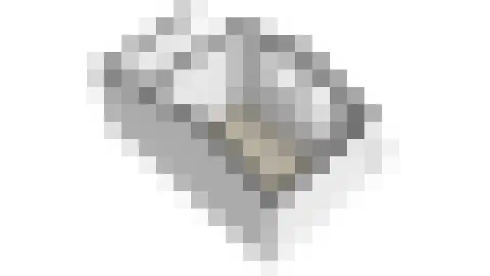 De Kuilenaar 31 Heiloo thumbnail 55