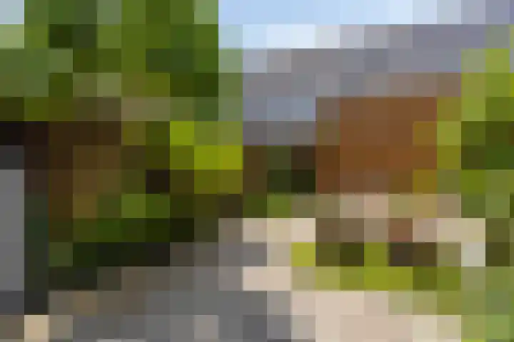 De Kuilweg 13 Wijdewormer thumbnail 6