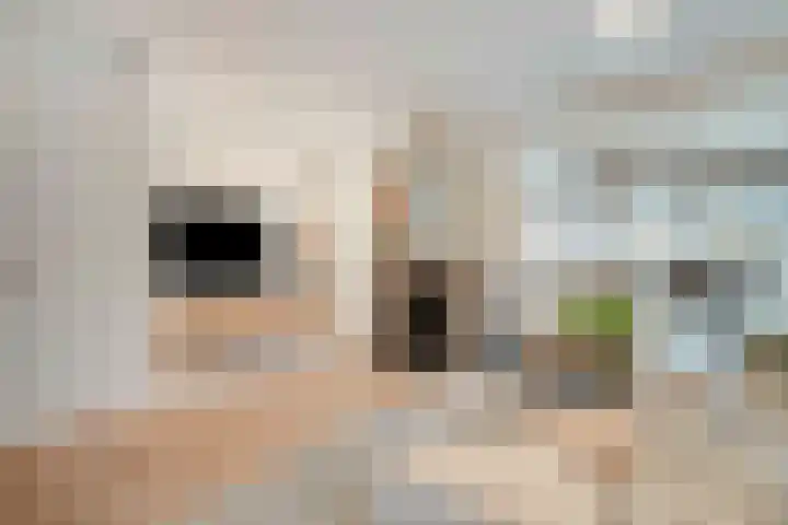 de Kuinder 14 Woerden thumbnail 11