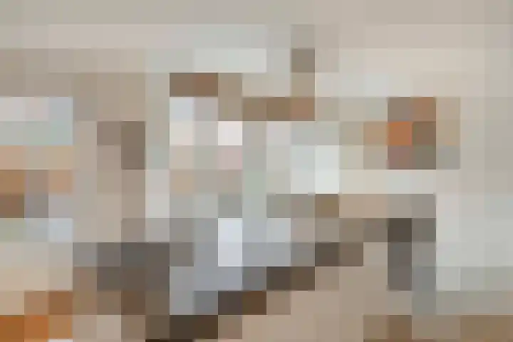 de Kuinder 14 Woerden thumbnail 12