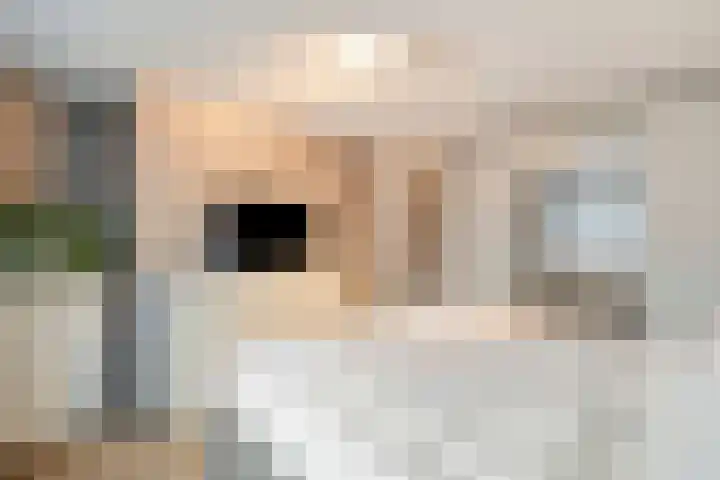 de Kuinder 14 Woerden thumbnail 17