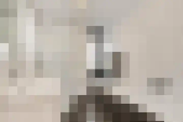 de Kuinder 14 Woerden thumbnail 19