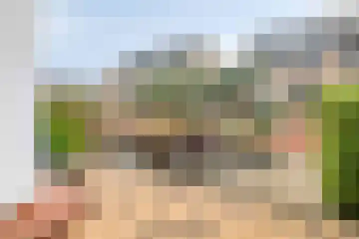 de Kuinder 14 Woerden thumbnail 5