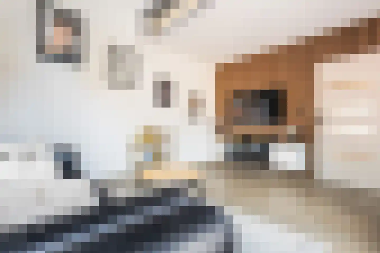 de Kuinder 24 Woerden thumbnail 11