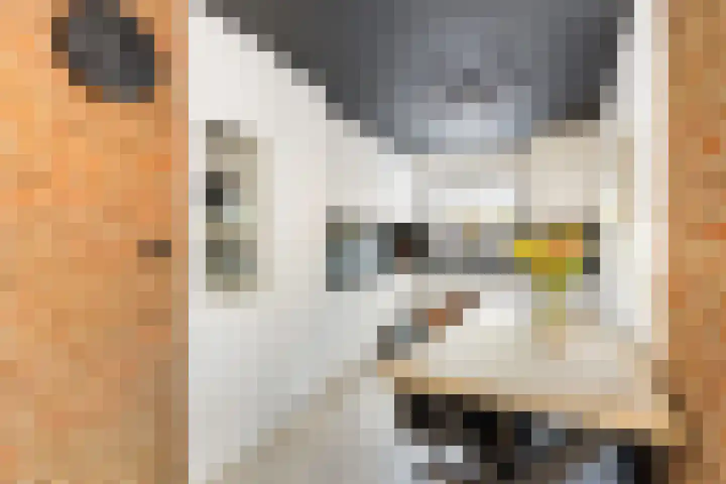 de Kuinder 24 Woerden thumbnail 14