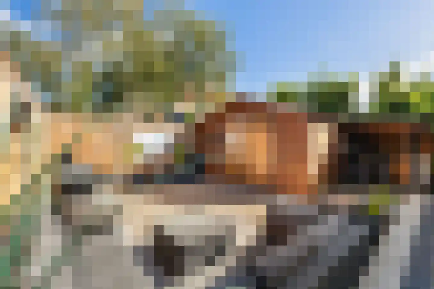 de Kuinder 24 Woerden thumbnail 21