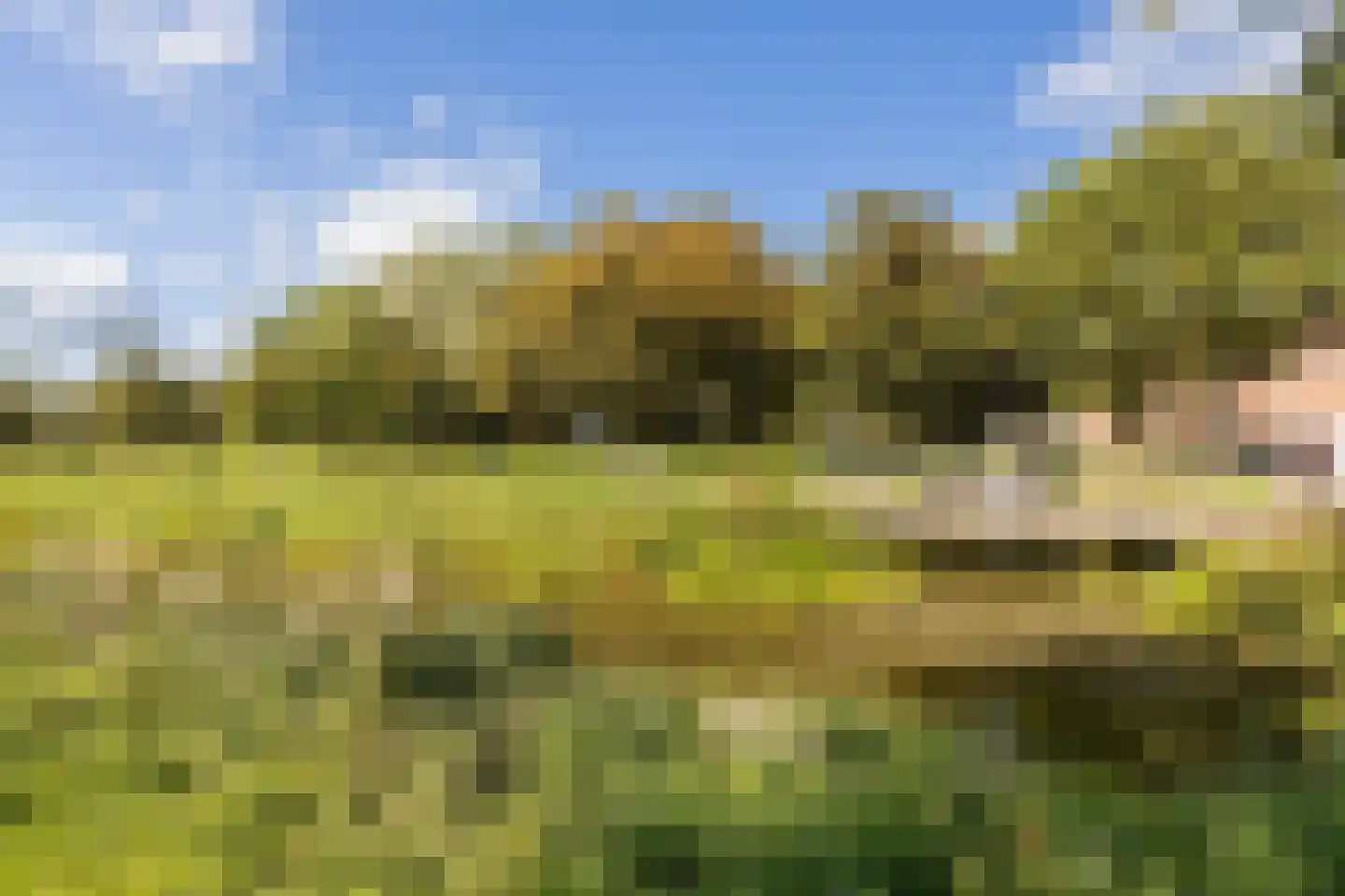 de Kuinder 24 Woerden thumbnail 42