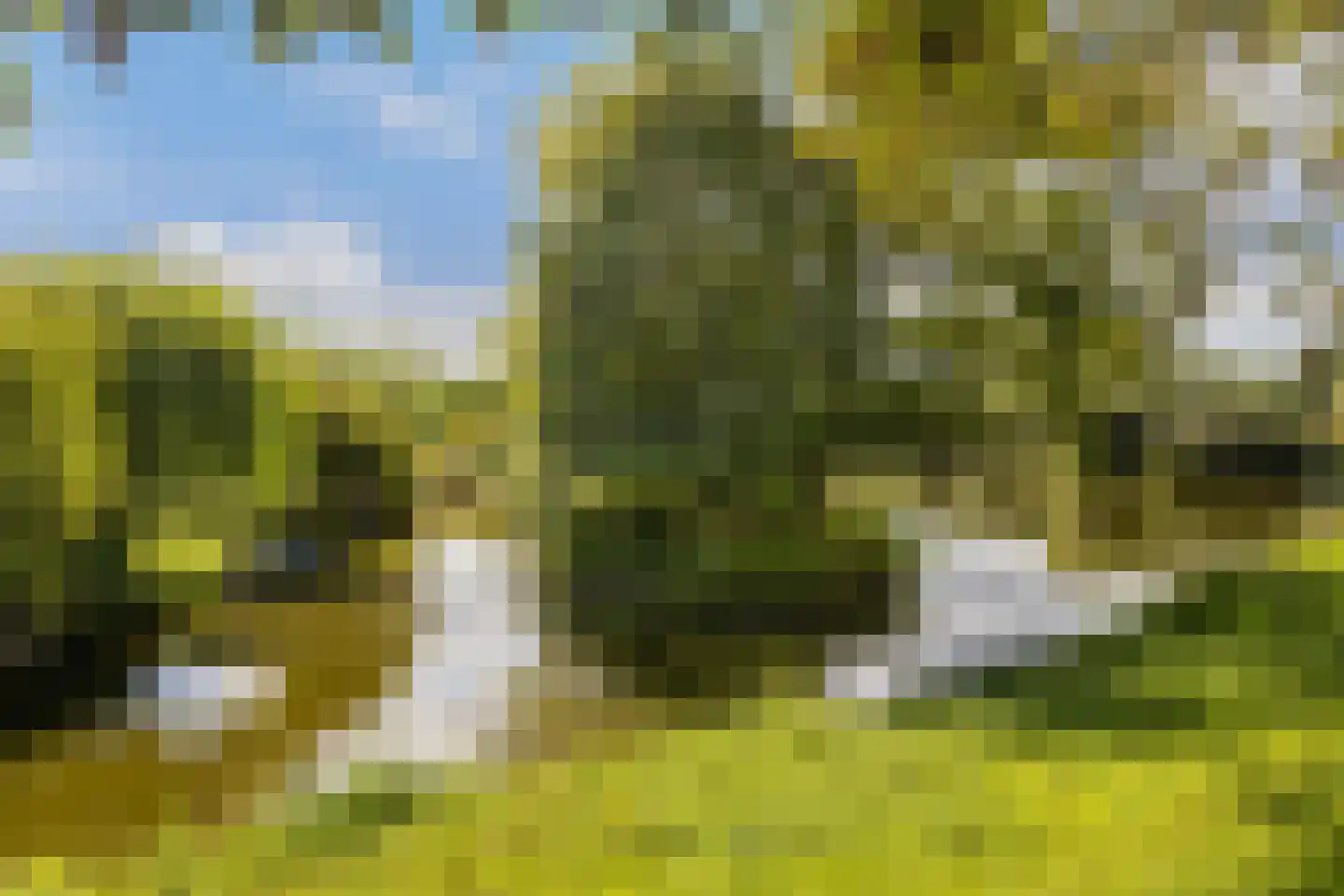 de Kuinder 24 Woerden thumbnail 44