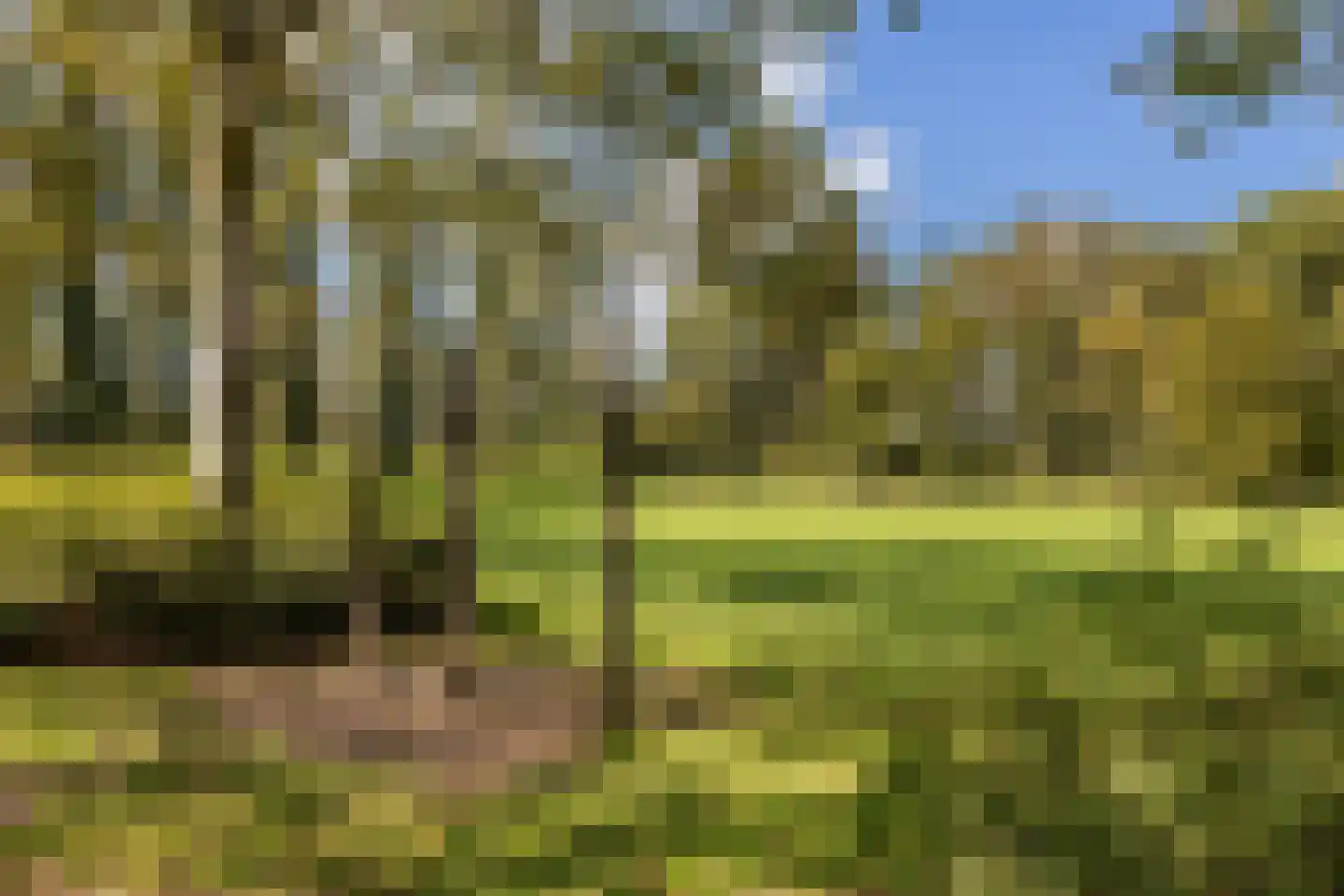 de Kuinder 24 Woerden thumbnail 45