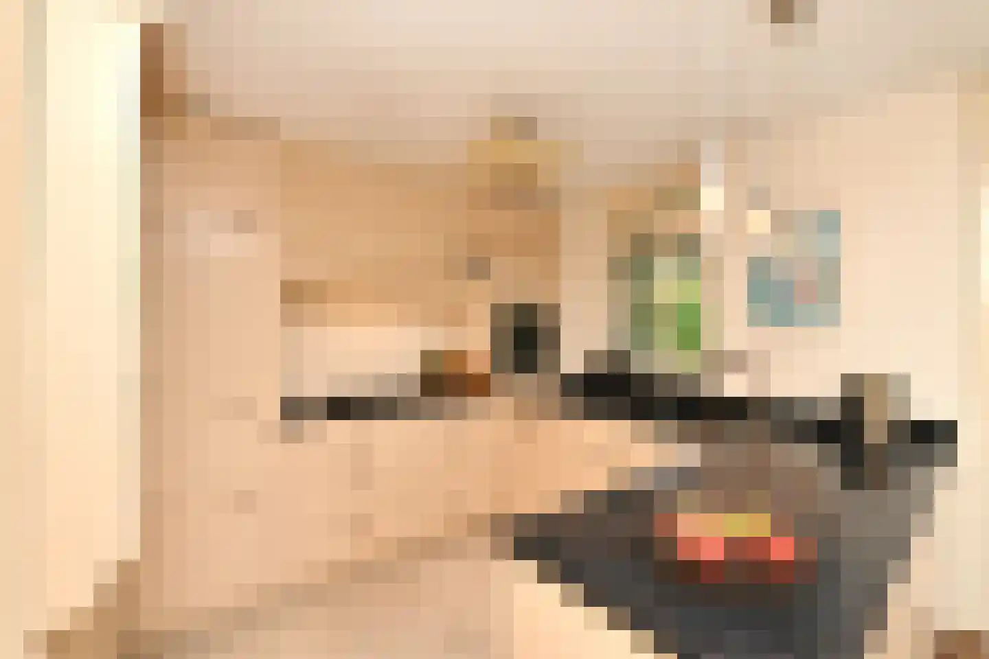 De Kuip 2 Steenbergen thumbnail 11