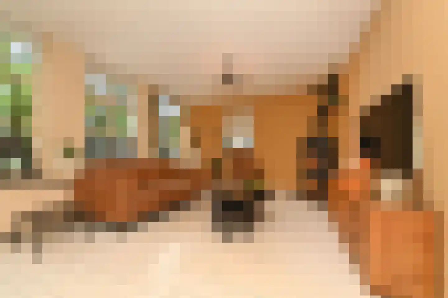 De Kuip 2 Steenbergen thumbnail 17