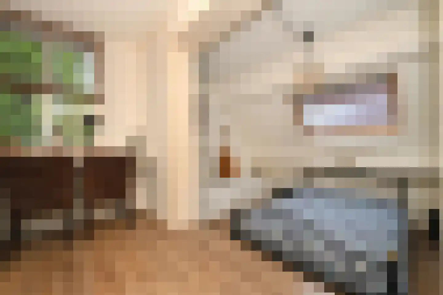 De Kuip 2 Steenbergen thumbnail 23