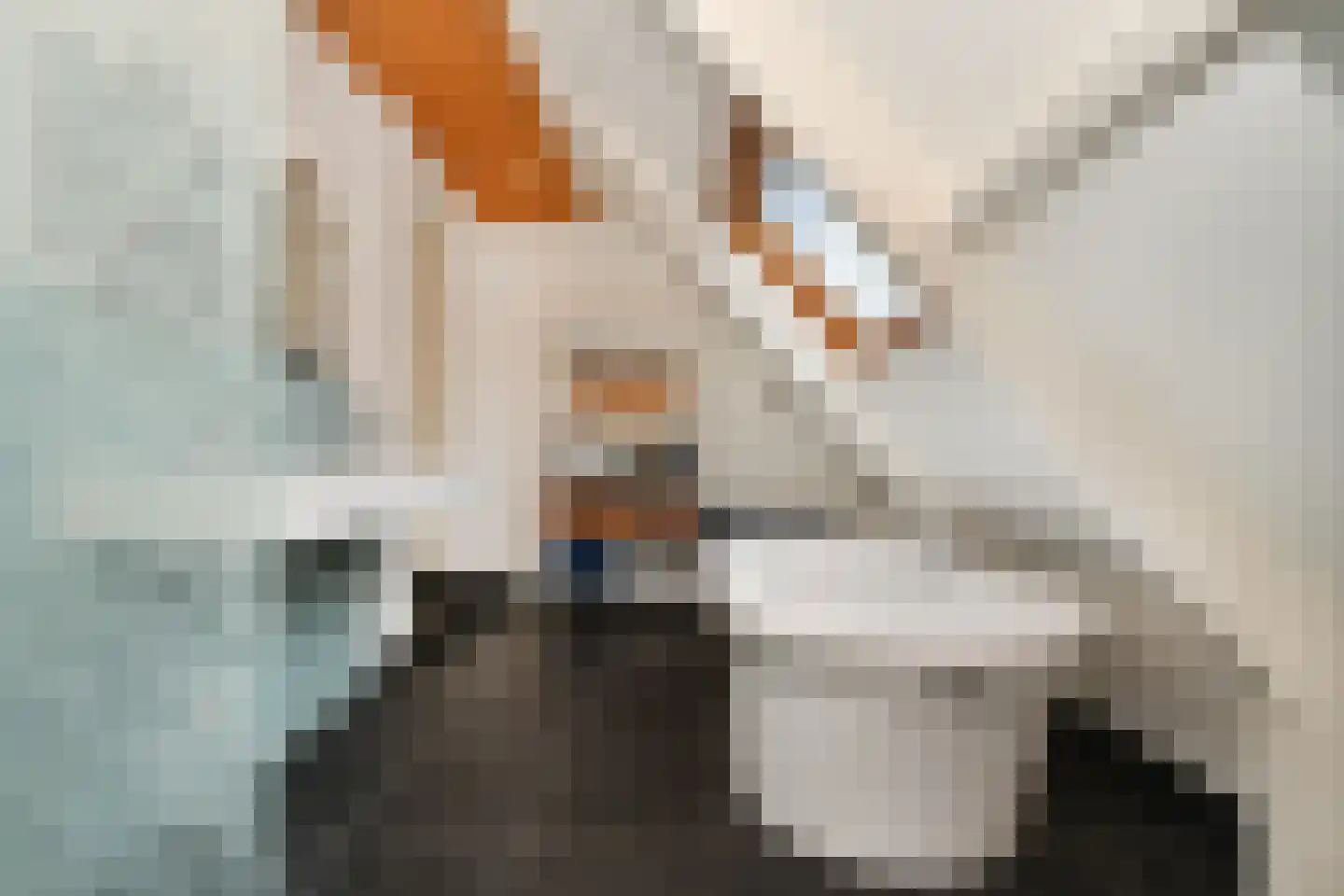 De Kuip 2 Steenbergen thumbnail 27
