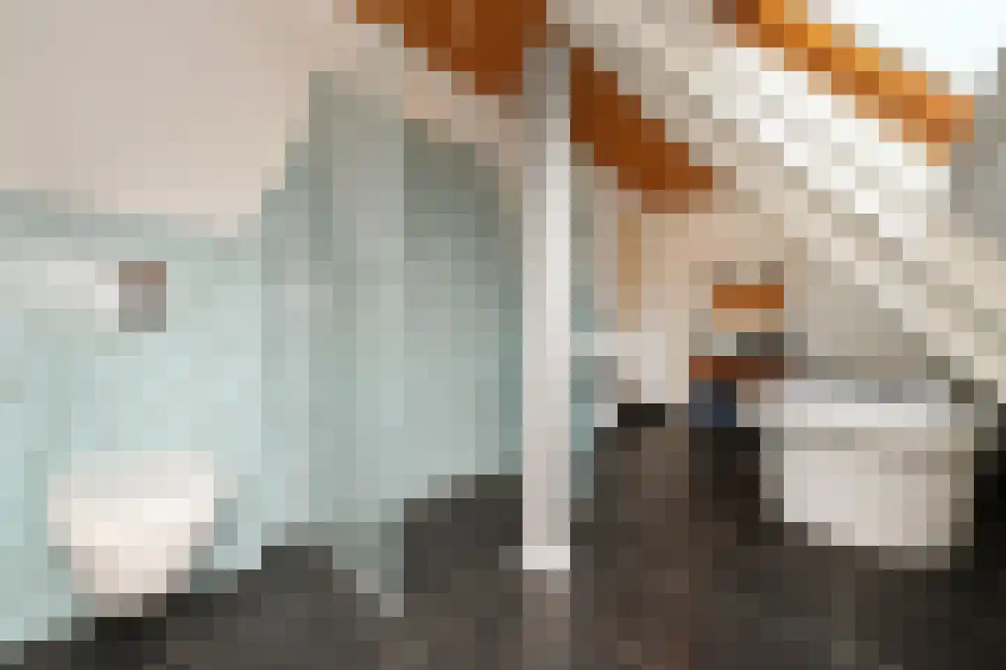 De Kuip 2 Steenbergen thumbnail 28
