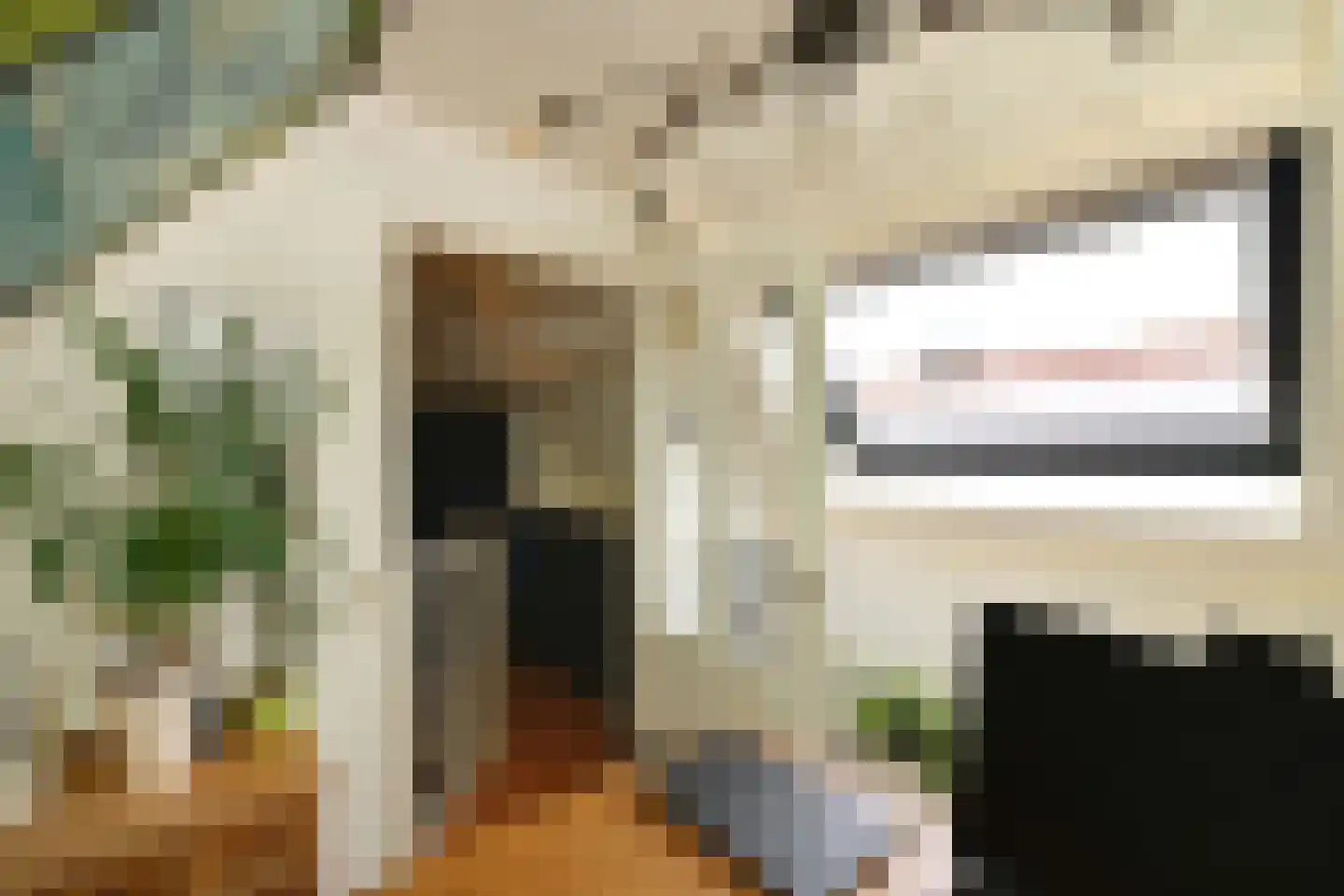 De Kuip 2 Steenbergen thumbnail 34