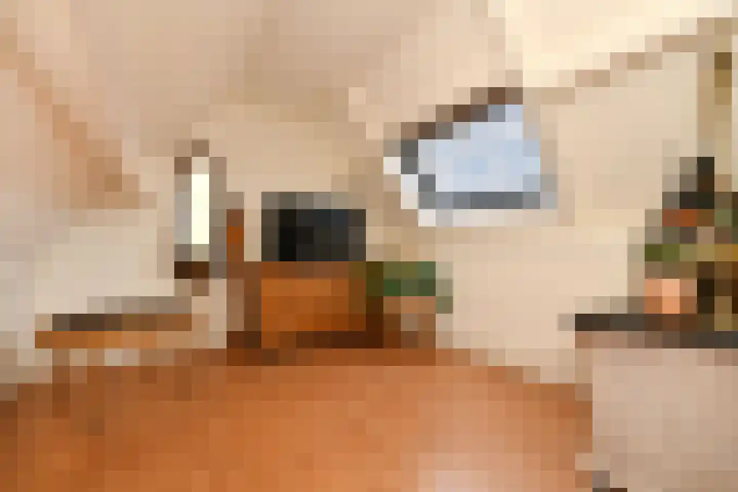 De Kuip 2 Steenbergen thumbnail 36