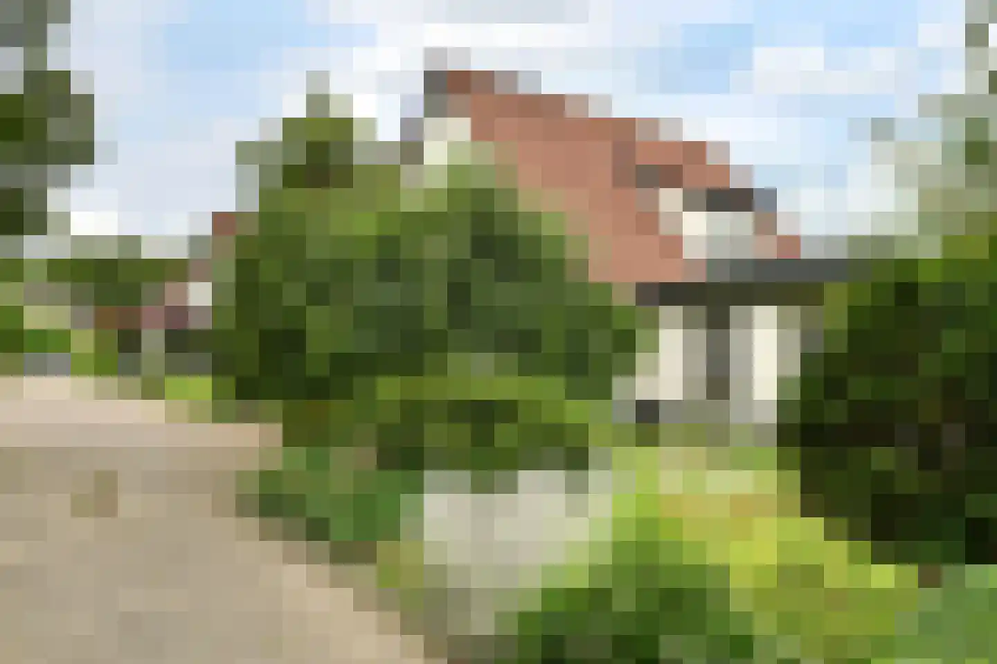 De Kuip 2 Steenbergen thumbnail 37