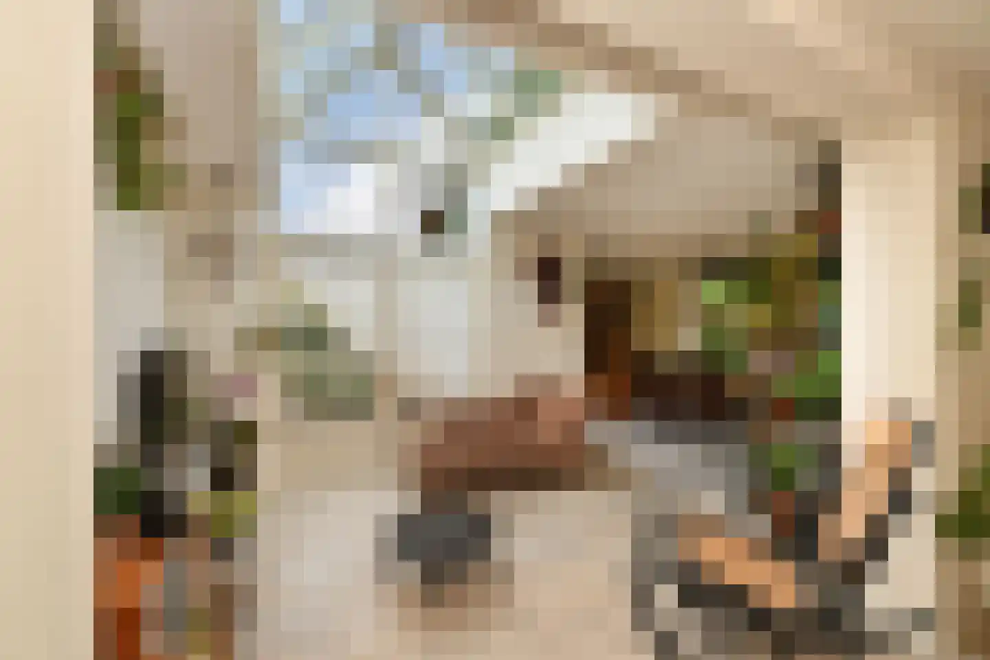 De Kuip 2 Steenbergen thumbnail 4