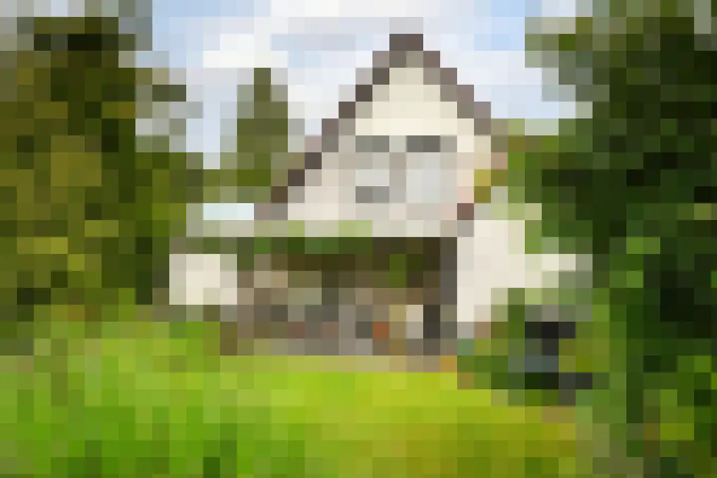 De Kuip 2 Steenbergen thumbnail 40