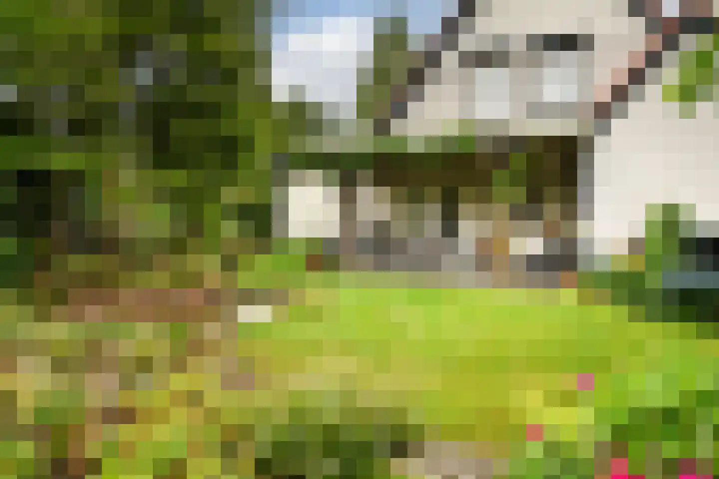 De Kuip 2 Steenbergen thumbnail 41