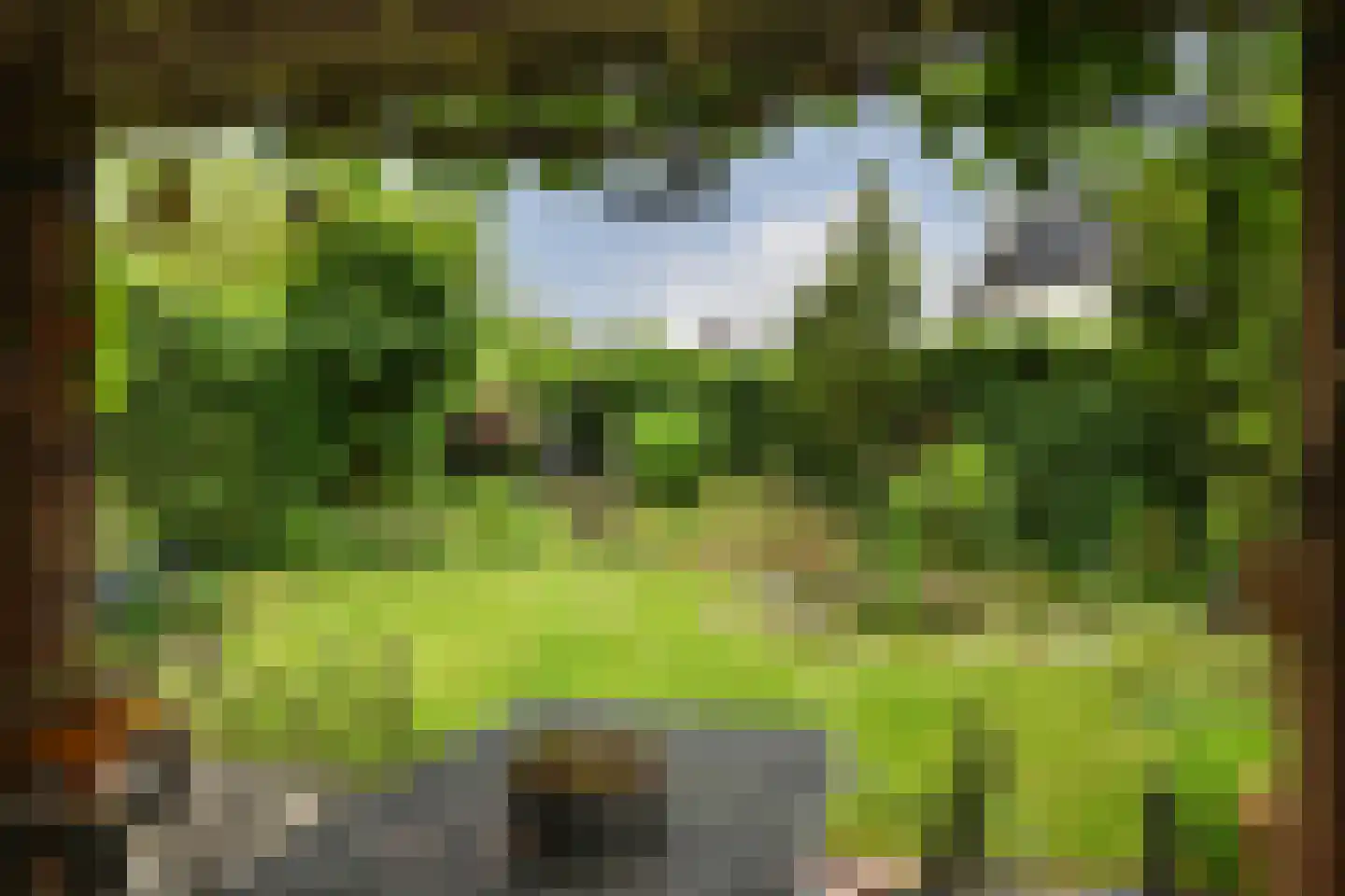 De Kuip 2 Steenbergen thumbnail 42