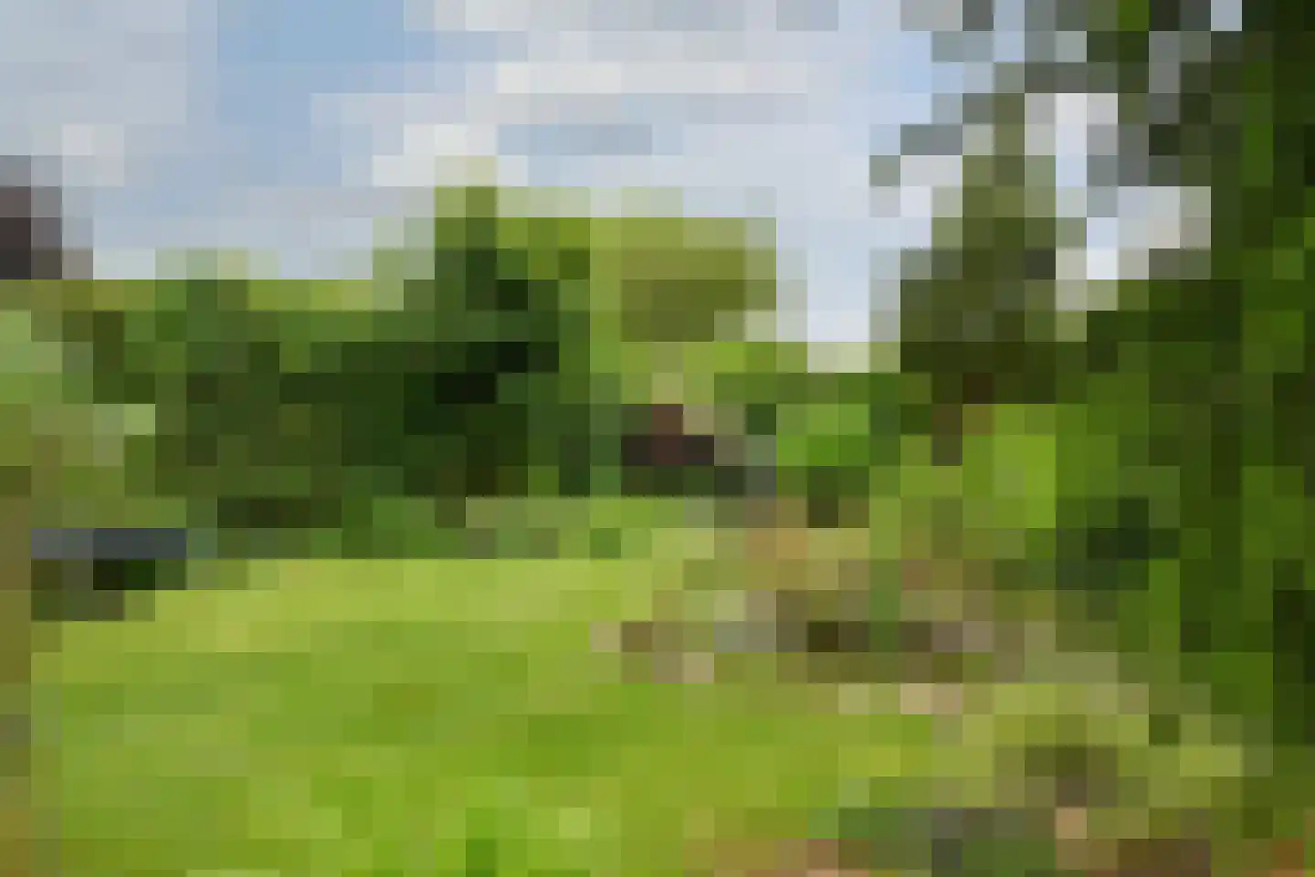 De Kuip 2 Steenbergen thumbnail 43