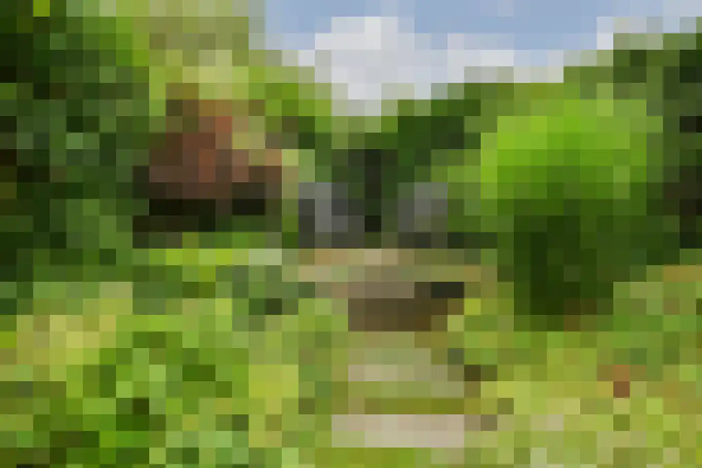 De Kuip 2 Steenbergen thumbnail 44