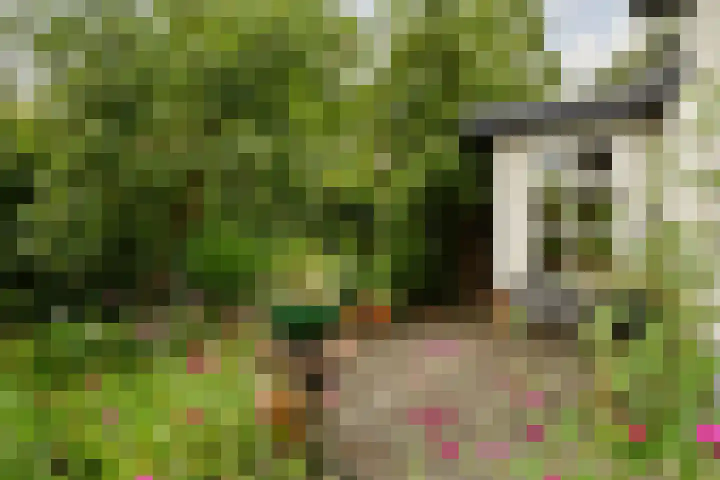 De Kuip 2 Steenbergen thumbnail 46