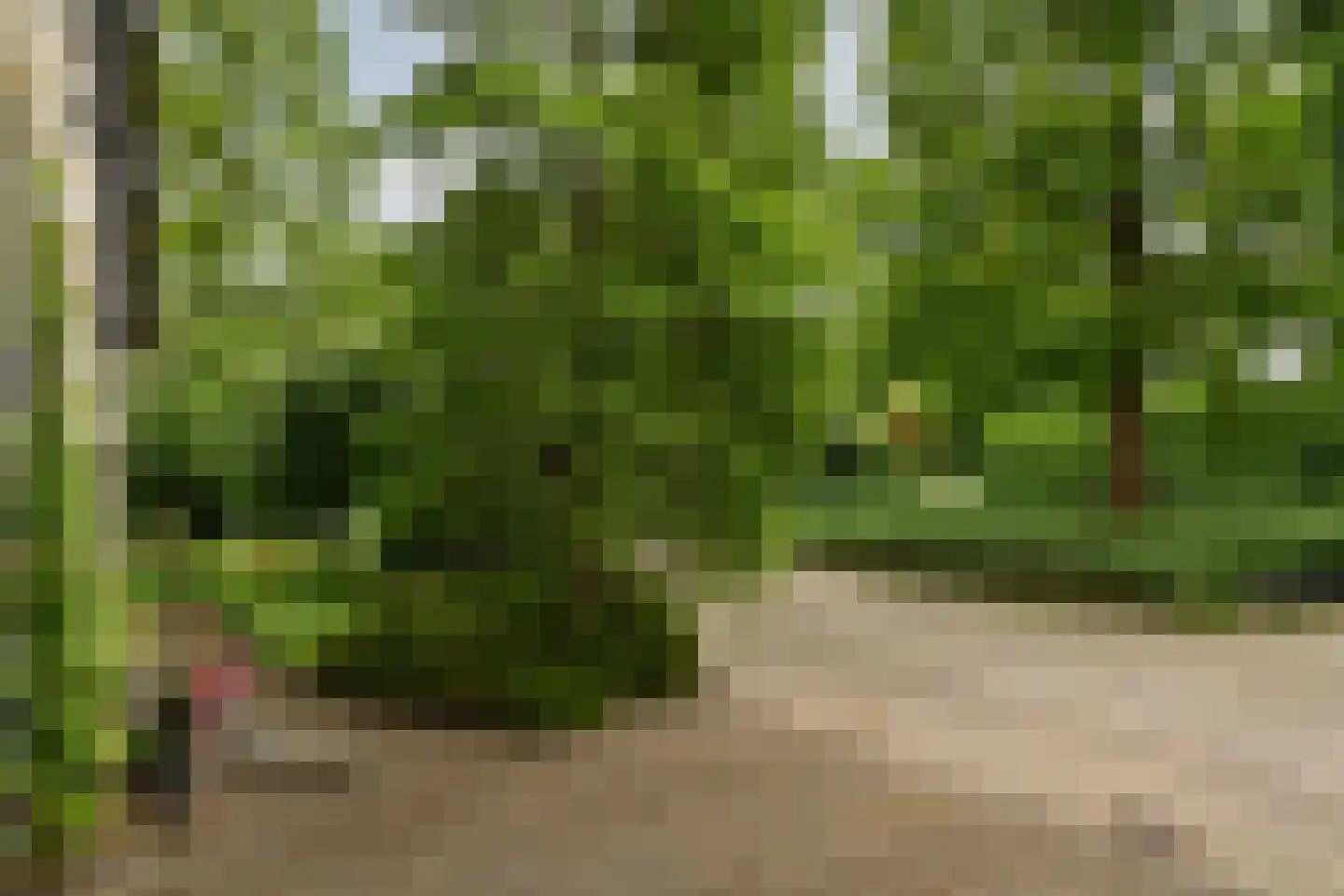 De Kuip 2 Steenbergen thumbnail 47