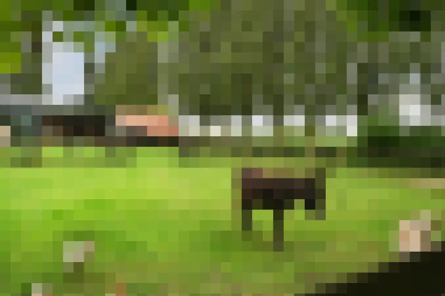De Kuip 2 Steenbergen thumbnail 49