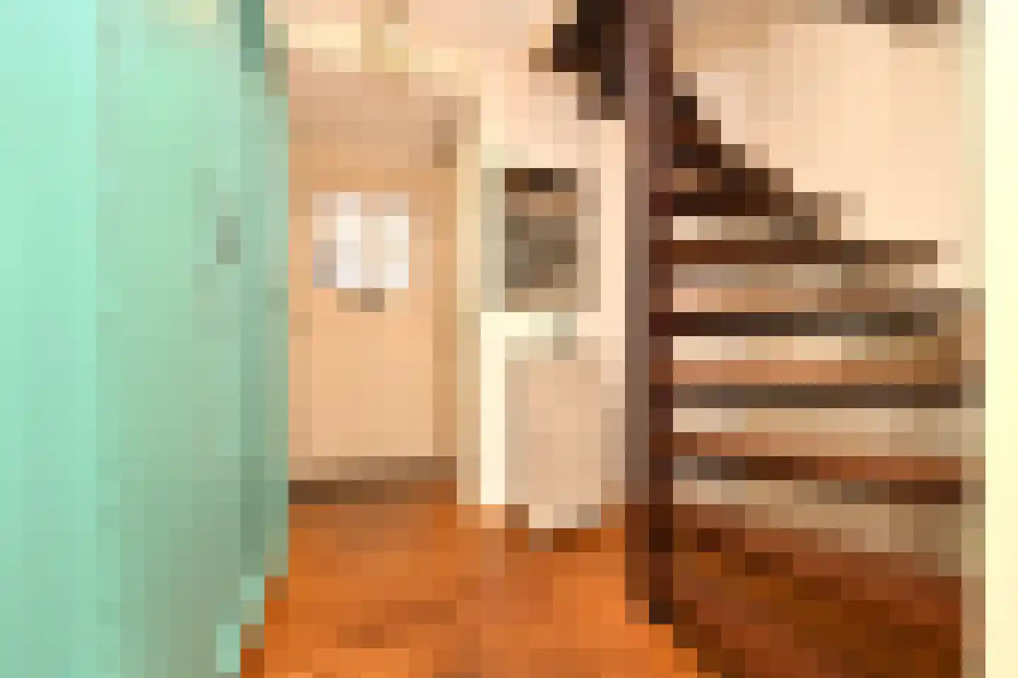 De Kuip 2 Steenbergen thumbnail 5