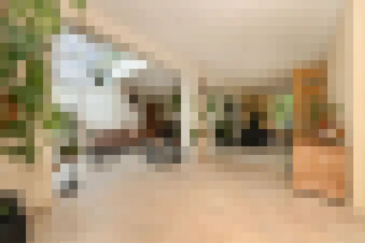 De Kuip 2 Steenbergen thumbnail 7
