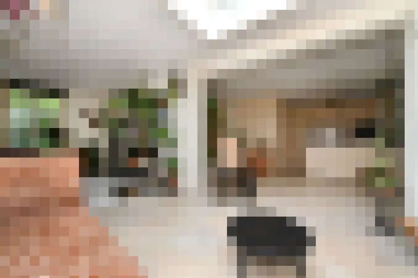 De Kuip 2 Steenbergen thumbnail 8