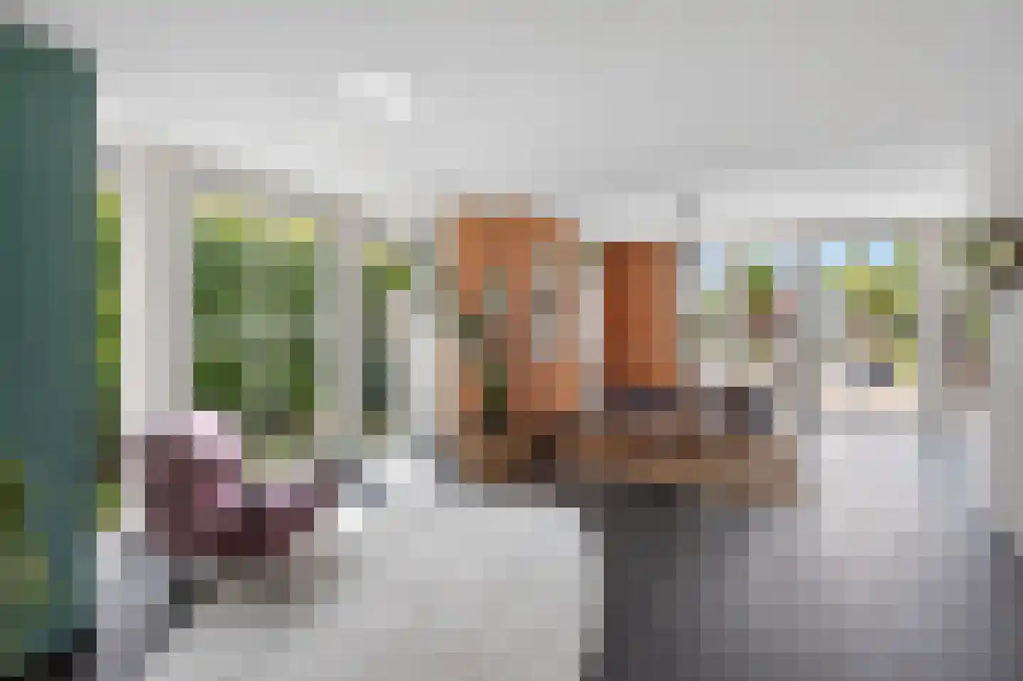 de Kuiper 11 Heeze thumbnail 13