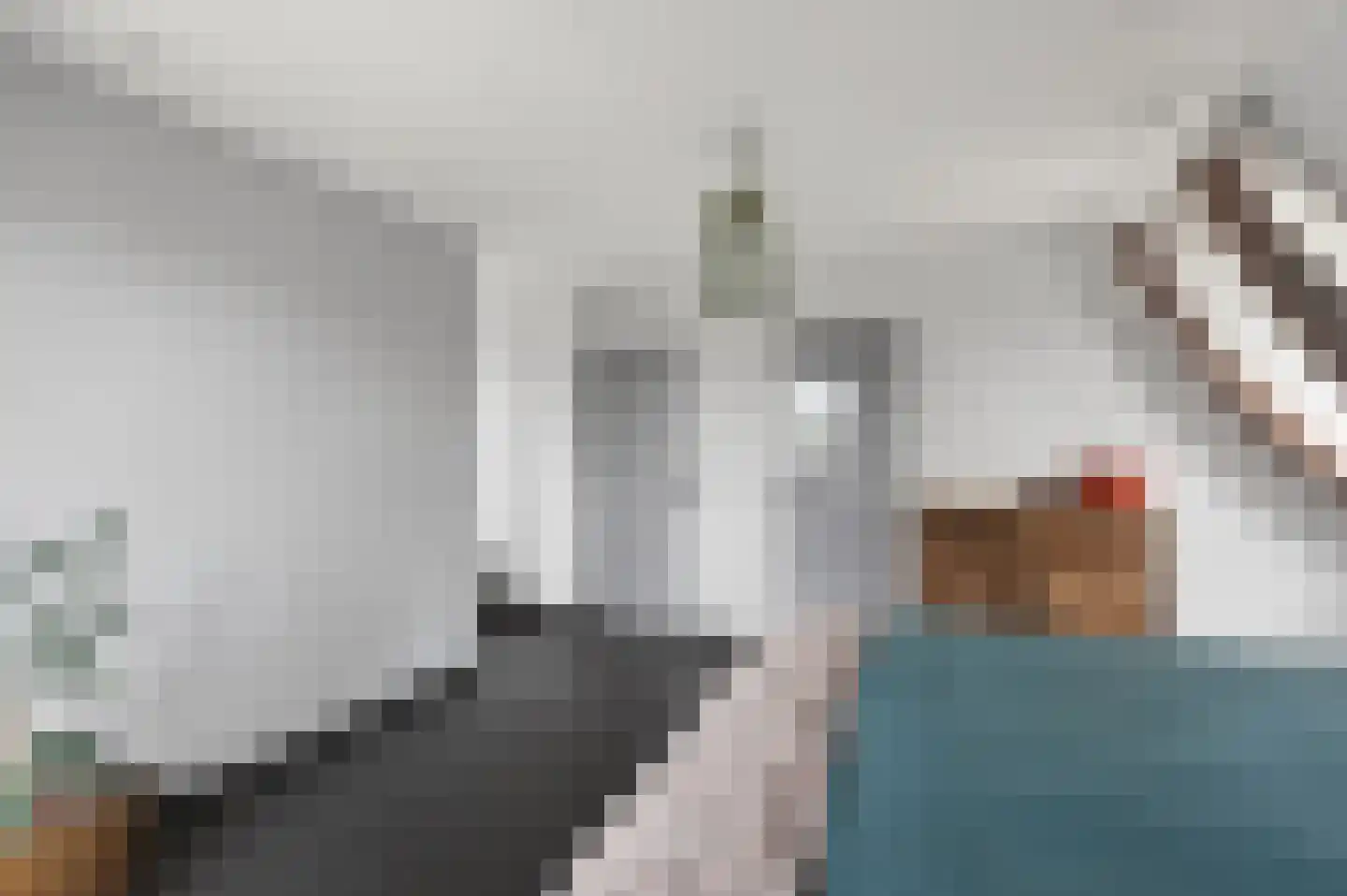 de Kuiper 11 Heeze thumbnail 22