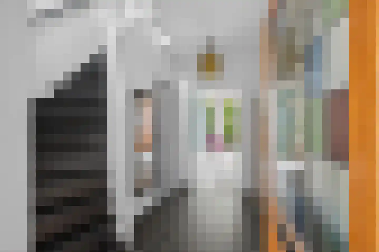 de Kuiper 11 Heeze thumbnail 7