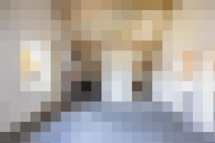 De Kuiper 11 Sevenum thumbnail 23
