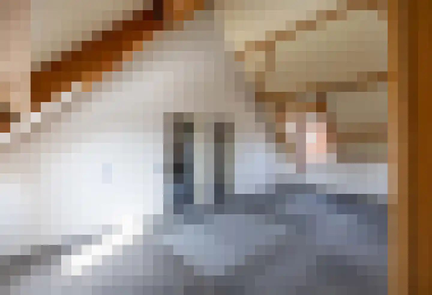 De Kuiper 11 Sevenum thumbnail 26