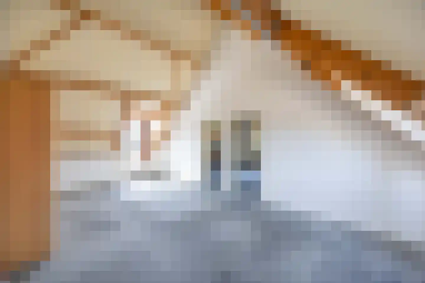 De Kuiper 11 Sevenum thumbnail 27