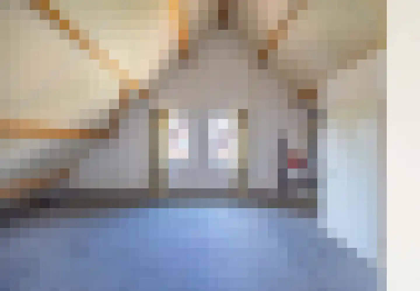 De Kuiper 11 Sevenum thumbnail 28