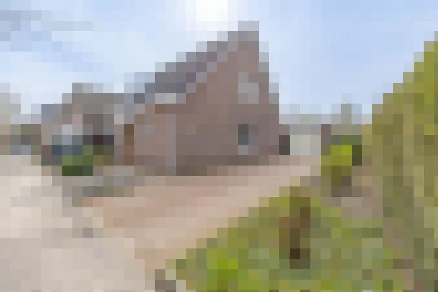De Kuiper 11 Sevenum thumbnail 33