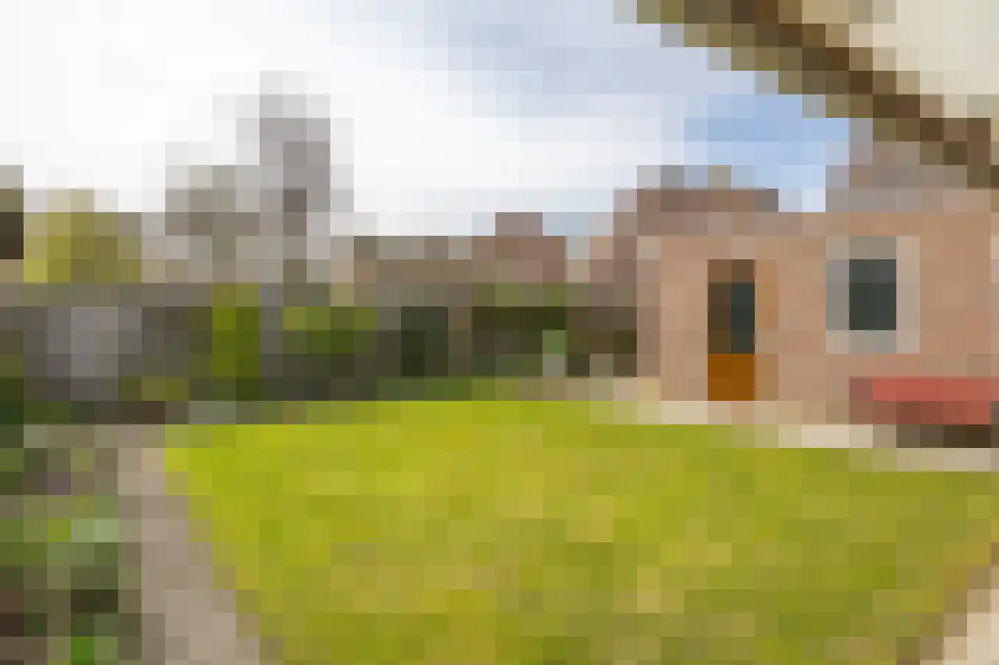 De Kuiper 11 Sevenum thumbnail 35