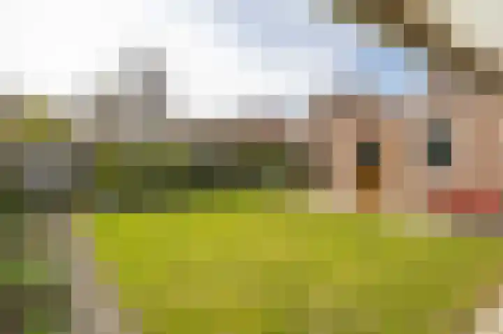 De Kuiper 11 Sevenum thumbnail 35