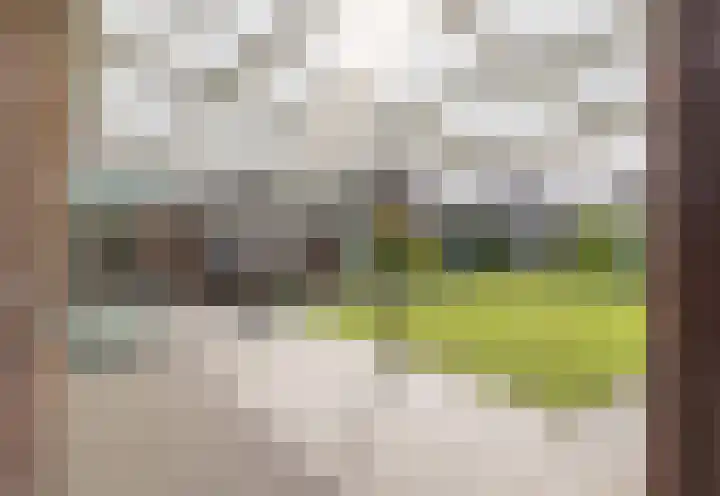 De Kuiper 11 Sevenum thumbnail 39