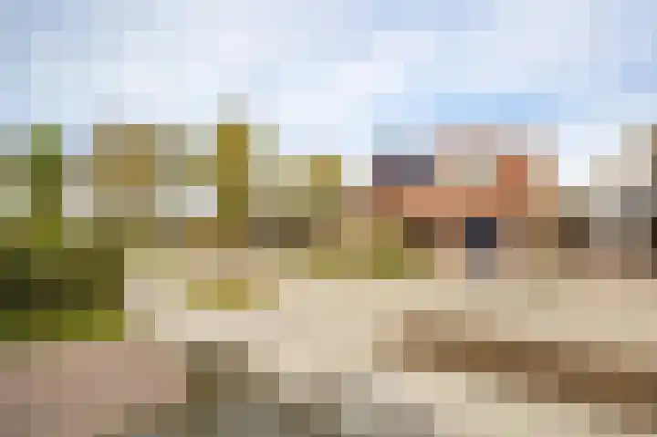 De Kuiper 11 Sevenum thumbnail 42