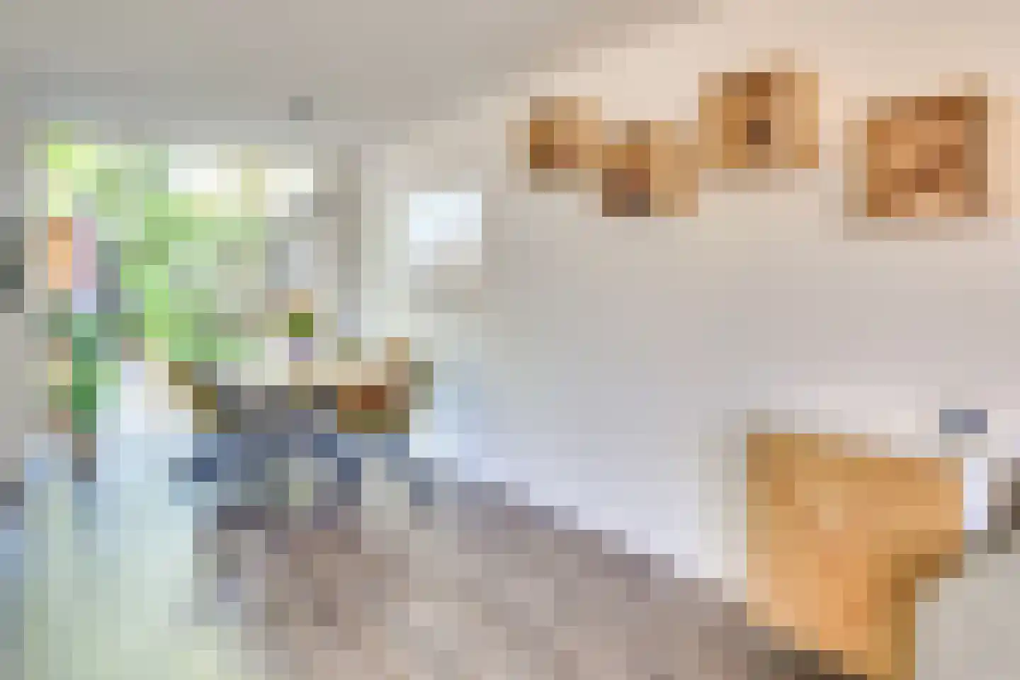 de Kuiper 16 Heeze thumbnail 13
